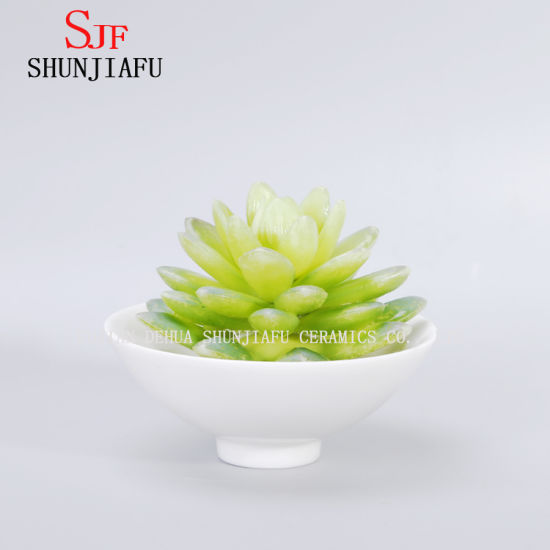Ceramic White Round Simple Design Succulent Flowerpot
