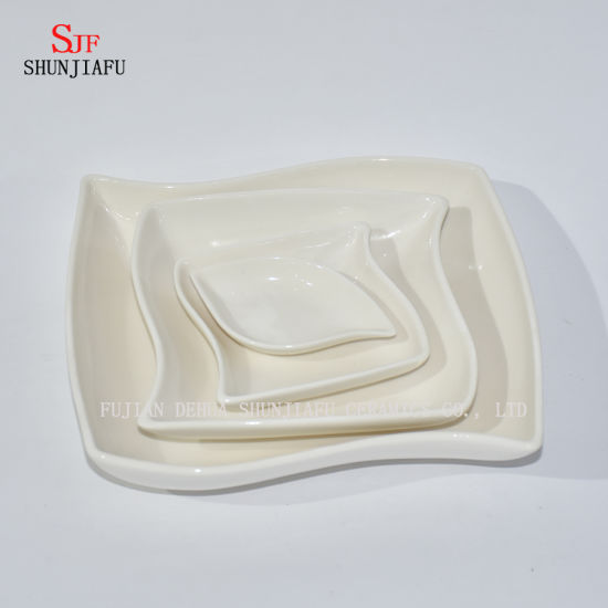 Different Shapes. White Porcelain Dinnerware Service Plate Sauce Dish