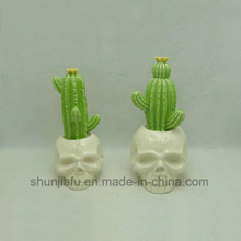Ceramic Cactus with Skull Head Home Furnishing