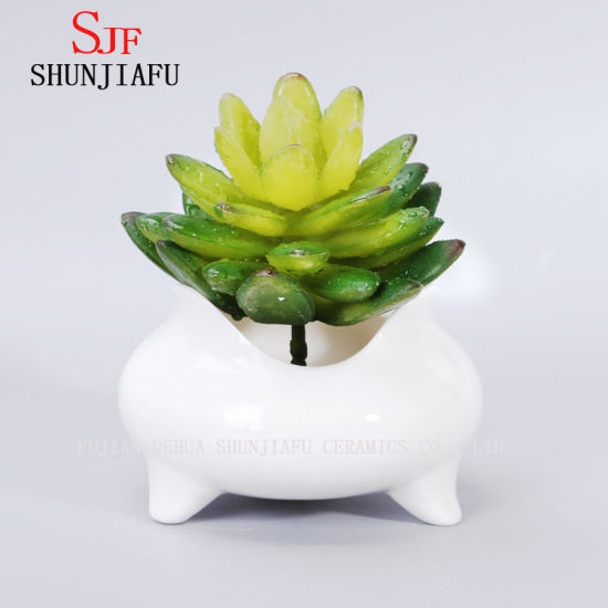 Ceramic White Round Simple Design Succulent Flowerpot