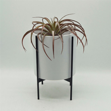 Black Iron Bracket Four Leg Support Match withMatte white Ceramic Flowerpot Planter Pot